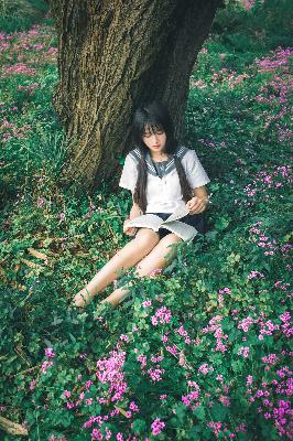 穿越到胬肉系统的小说桃花精